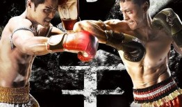 拳王电视剧在线观看,热血拳击，激荡青春，在线观看，燃情岁月